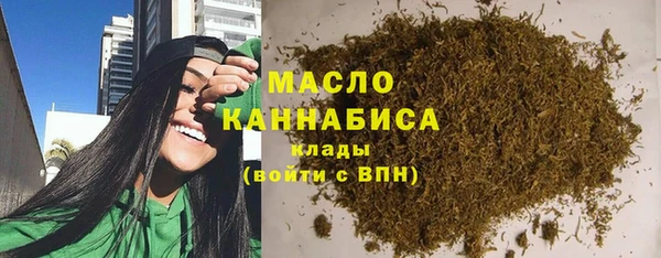 индика Магас
