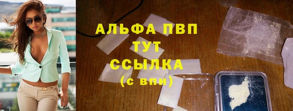 индика Магас