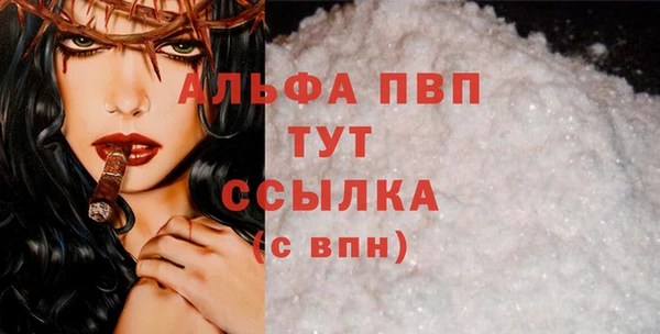 индика Магас